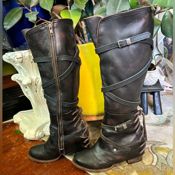 Freebird Cassius 8 - Picture 8 of 11